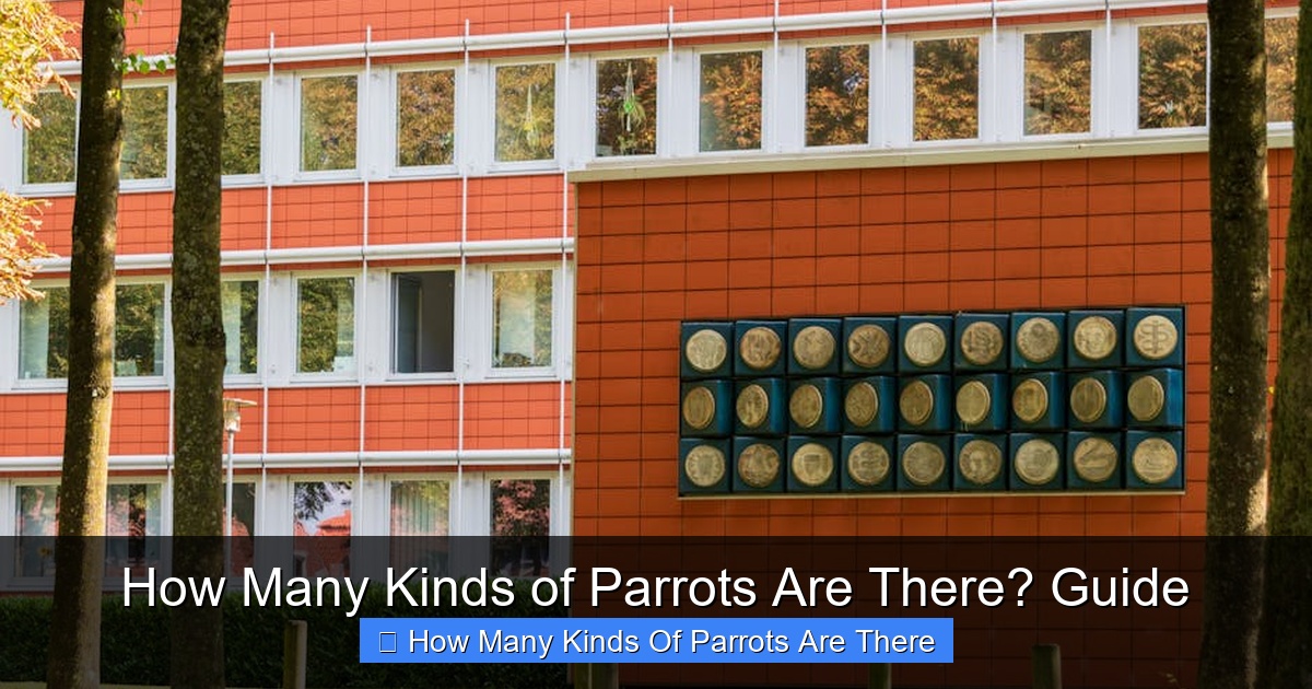 Featured image for How Many Kinds of Parrots Are There? Guide