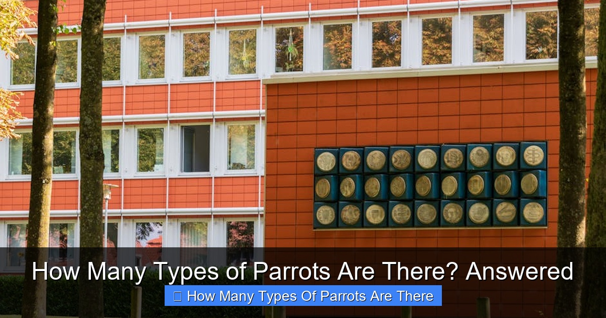 Featured image for How Many Types of Parrots Are There? Answered