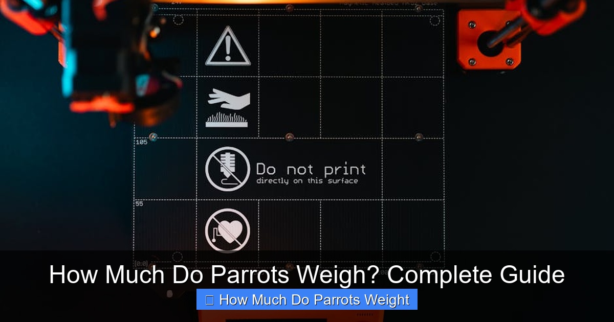 Featured image for How Much Do Parrots Weigh? Complete Guide