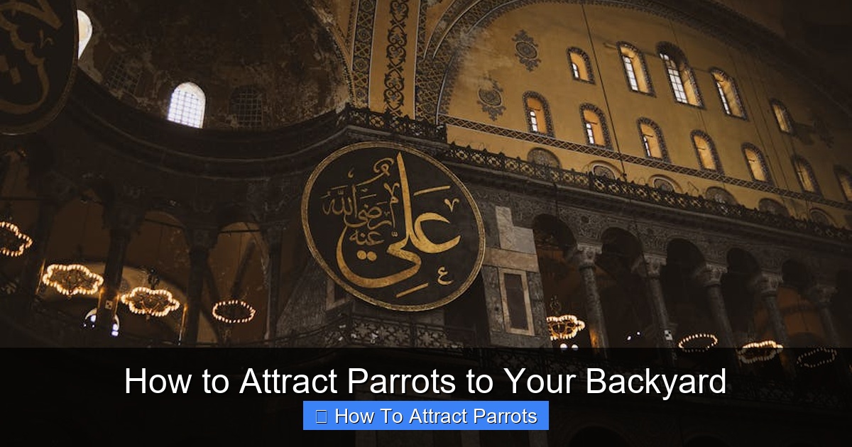 Featured image for How to Attract Parrots to Your Backyard