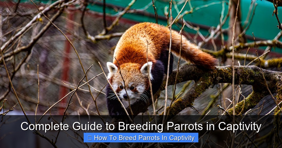 Featured image for Complete Guide to Breeding Parrots in Captivity
