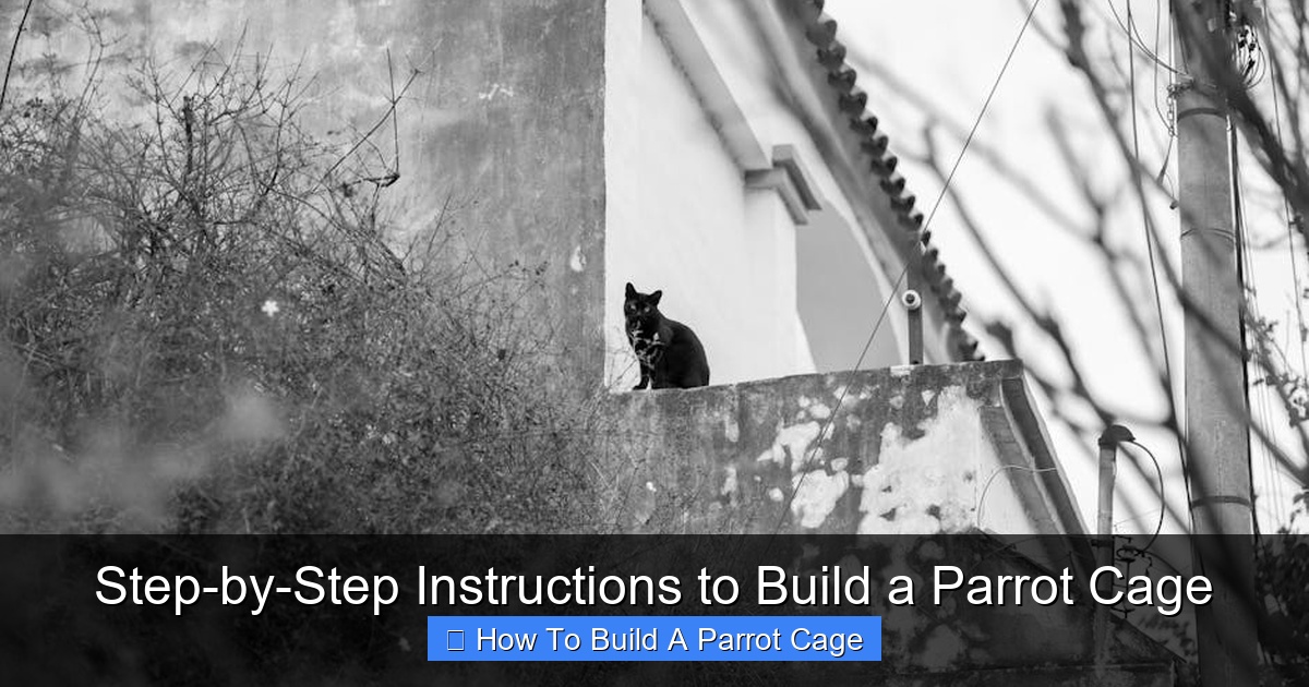 Featured image for Step-by-Step Instructions to Build a Parrot Cage