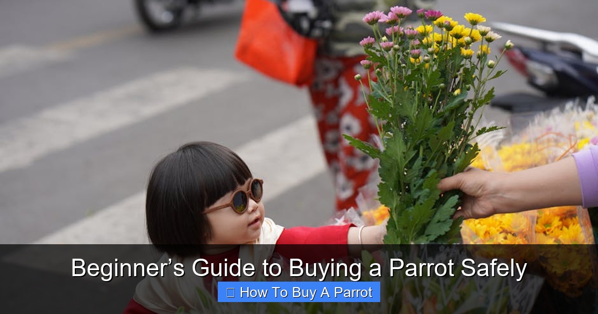 Featured image for Beginner’s Guide to Buying a Parrot Safely