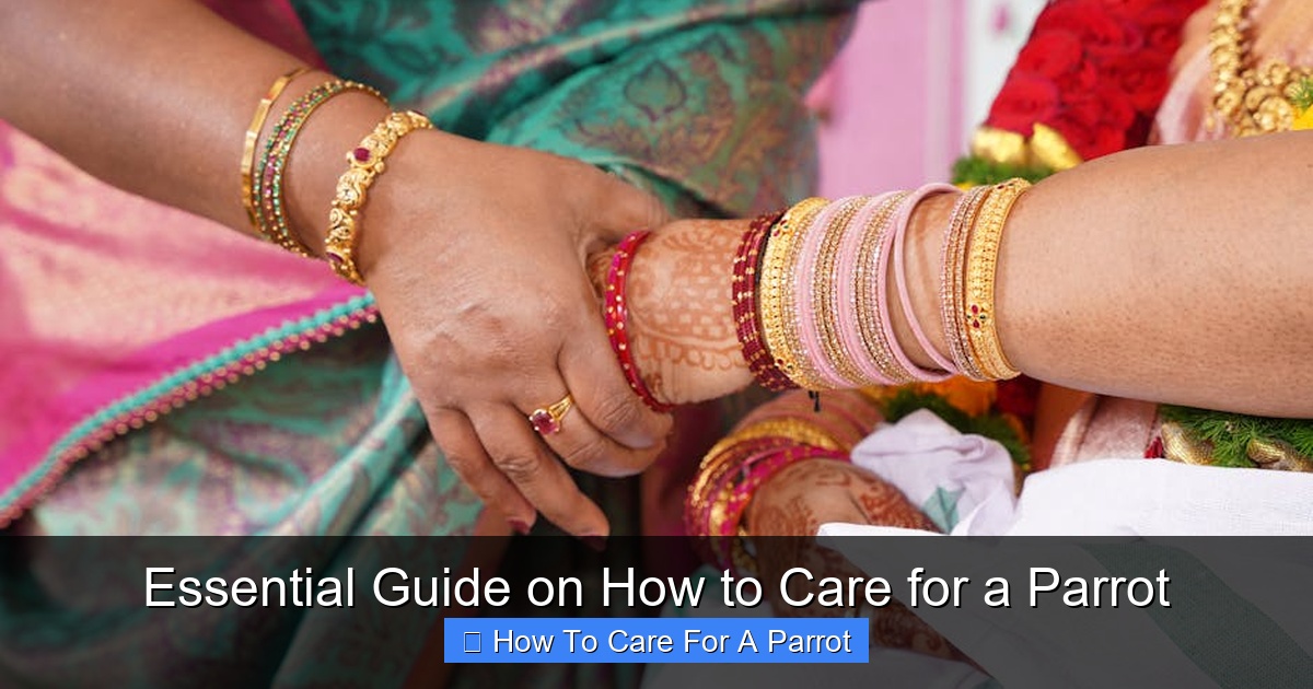 Featured image for Essential Guide on How to Care for a Parrot