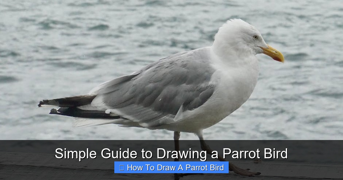 Featured image for Simple Guide to Drawing a Parrot Bird