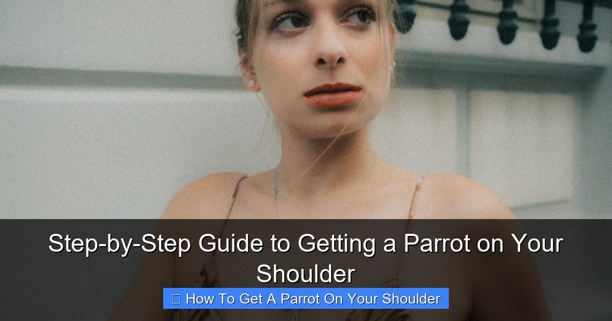 Featured image for Step-by-Step Guide to Getting a Parrot on Your Shoulder