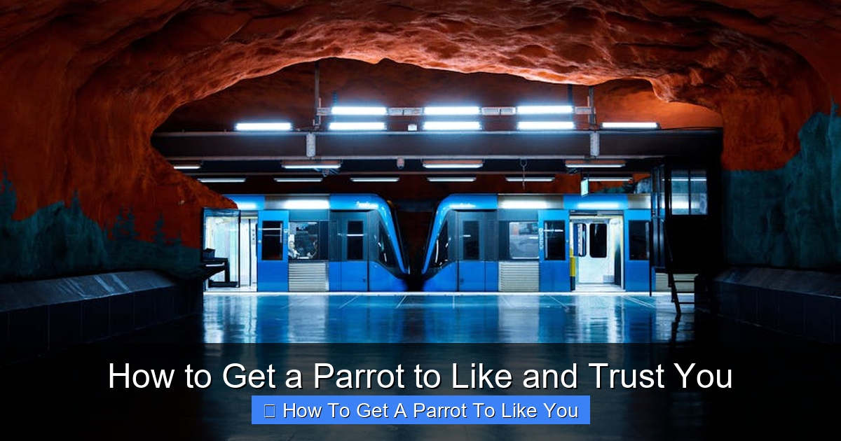 Featured image for How to Get a Parrot to Like and Trust You