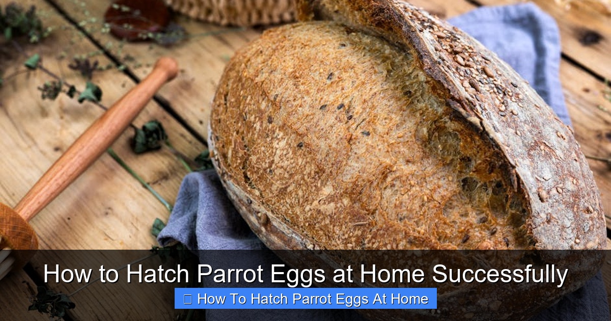 Featured image for How to Hatch Parrot Eggs at Home Successfully