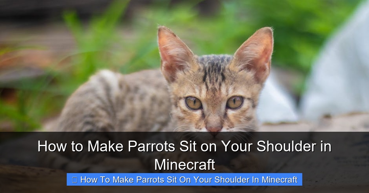 Featured image for How to Make Parrots Sit on Your Shoulder in Minecraft