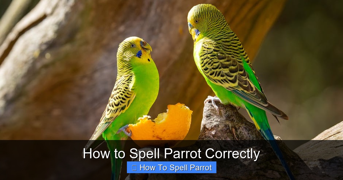 Featured image for How to Spell Parrot Correctly