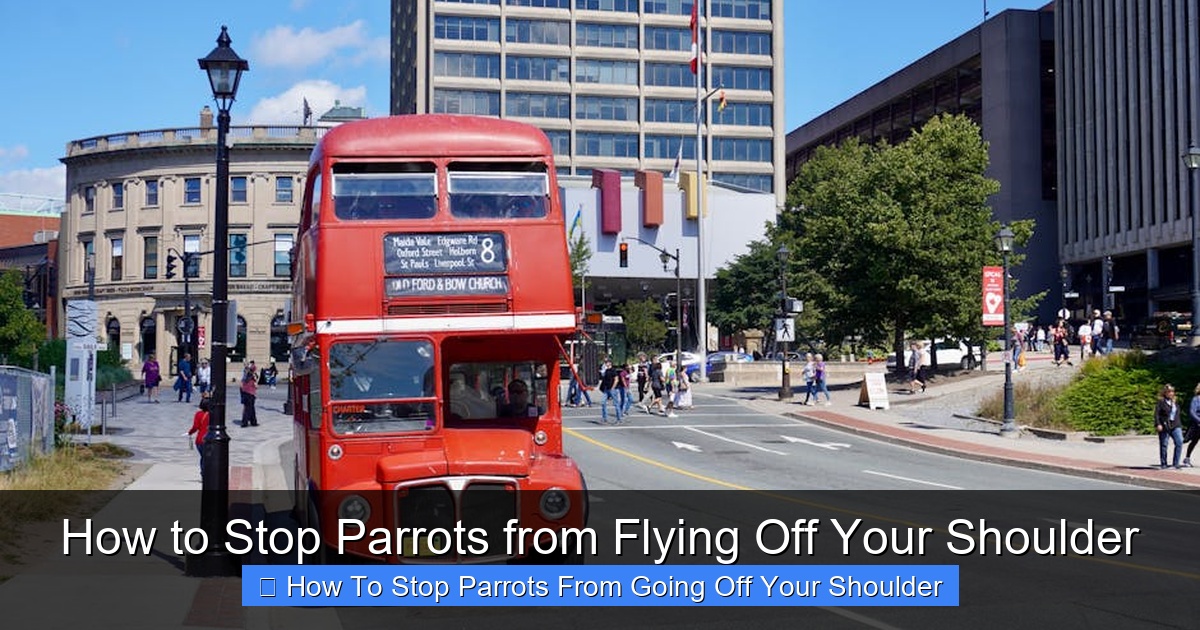 Featured image for How to Stop Parrots from Flying Off Your Shoulder