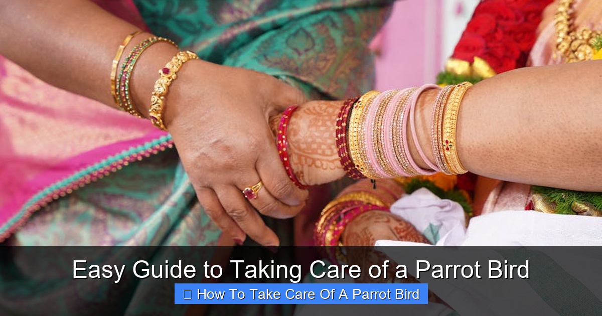 Featured image for Easy Guide to Taking Care of a Parrot Bird