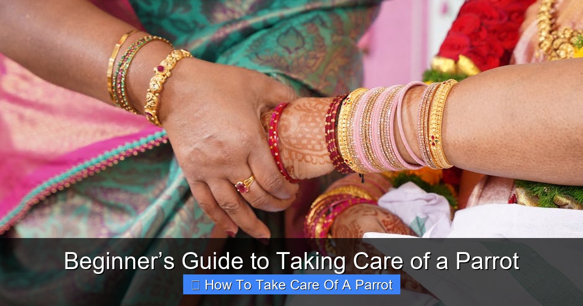 Featured image for Beginner’s Guide to Taking Care of a Parrot