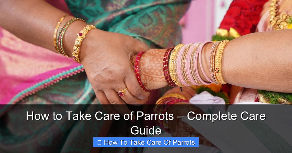 Featured image for How to Take Care of Parrots – Complete Care Guide
