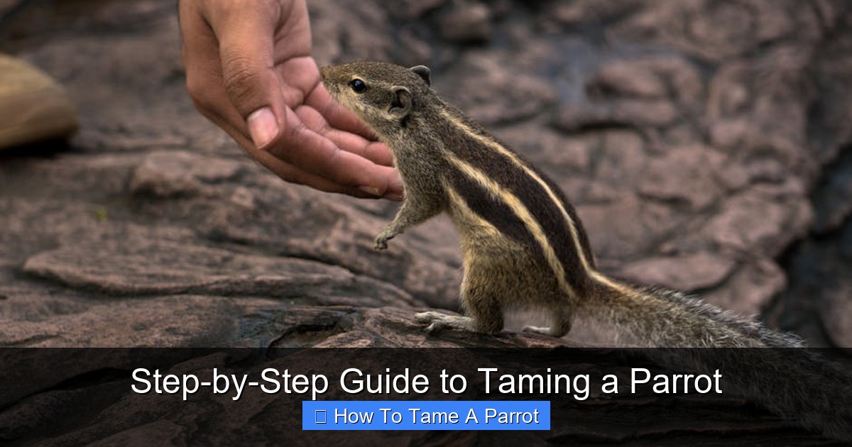 Featured image for Step-by-Step Guide to Taming a Parrot