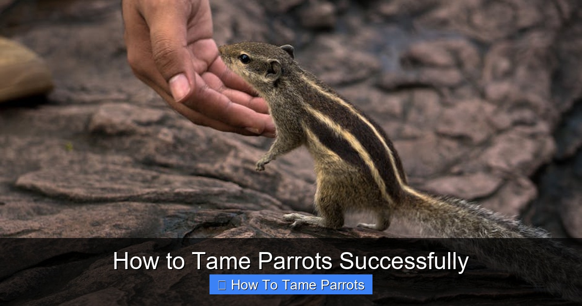 Featured image for How to Tame Parrots Successfully