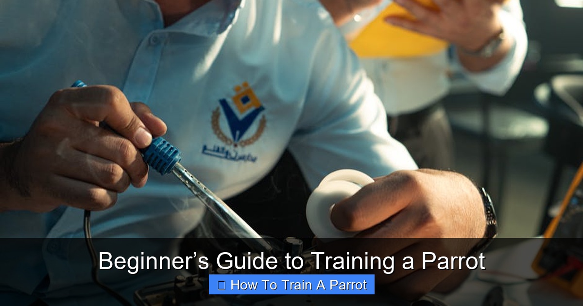 Featured image for Beginner’s Guide to Training a Parrot