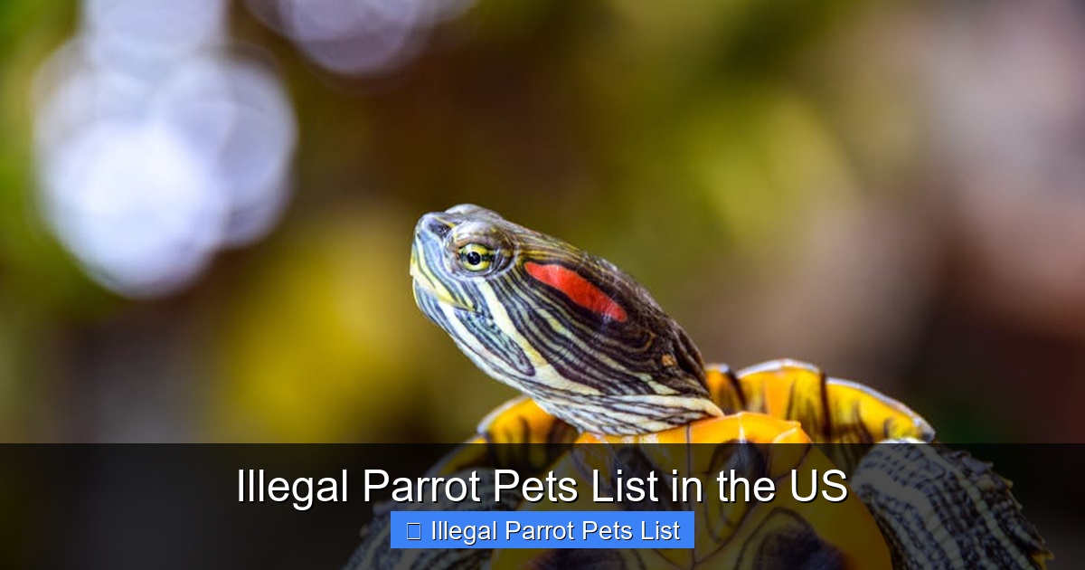 Featured image for Illegal Parrot Pets List in the US