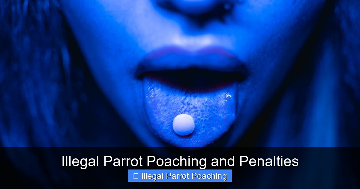 Featured image for Illegal Parrot Poaching and Penalties