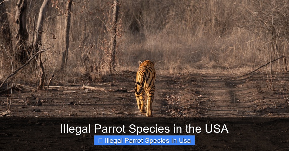 Featured image for Illegal Parrot Species in the USA