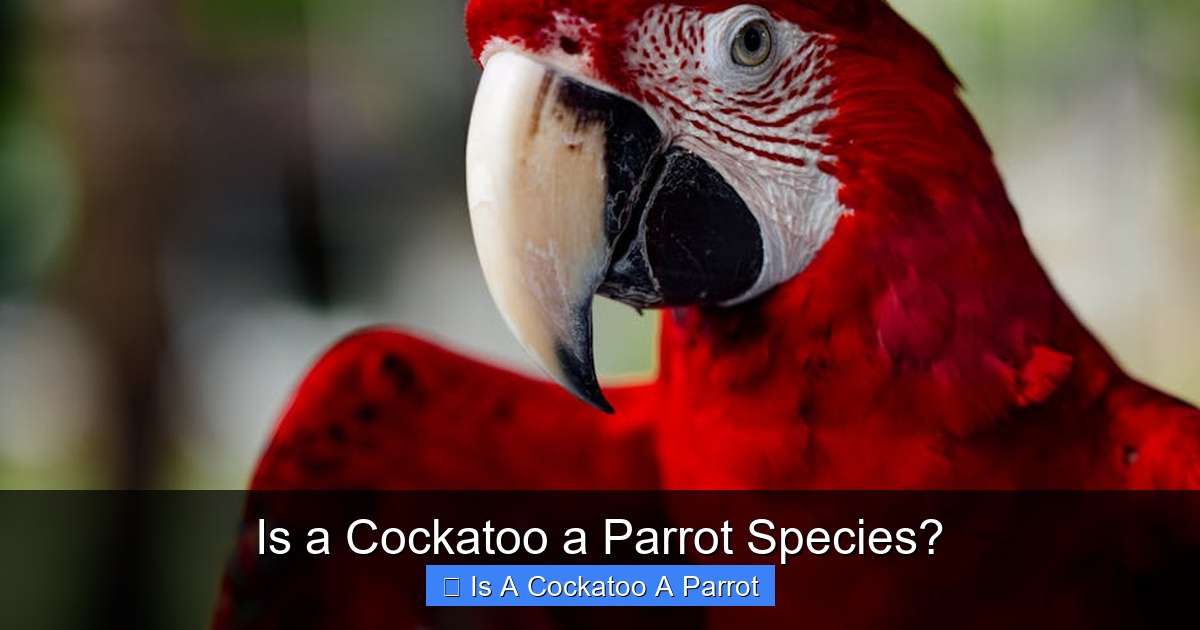 Is a Cockatoo a Parrot Species?