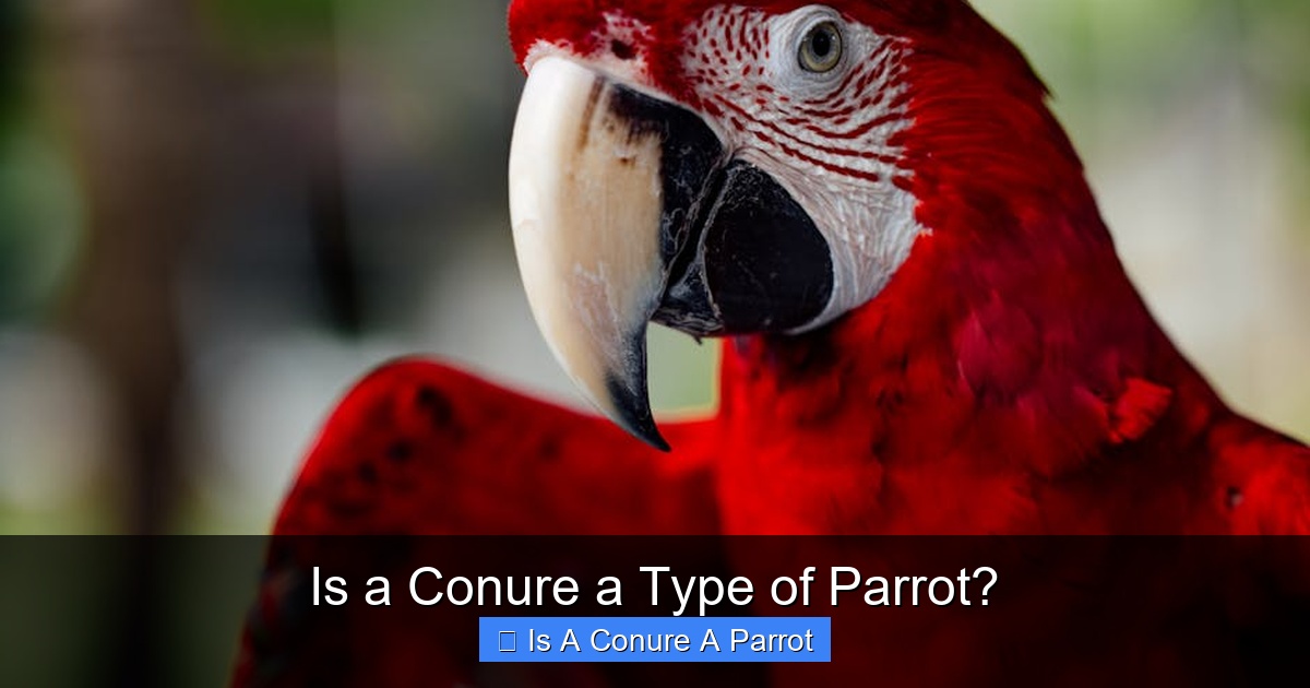 Is a Conure a Type of Parrot?