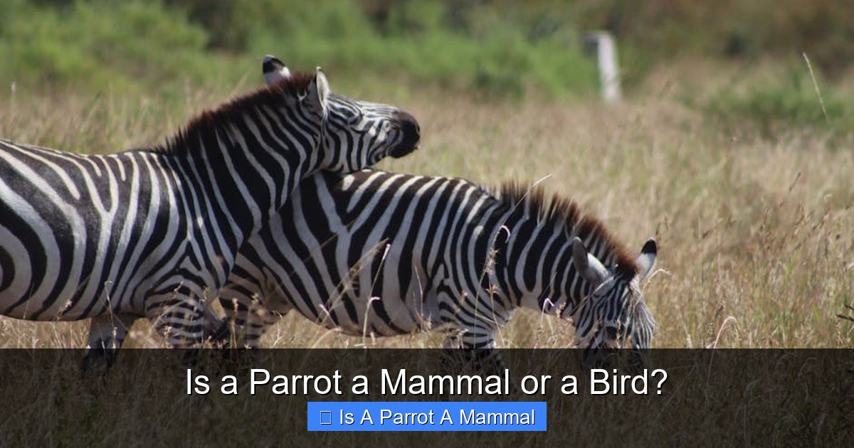 Is a Parrot a Mammal or a Bird?