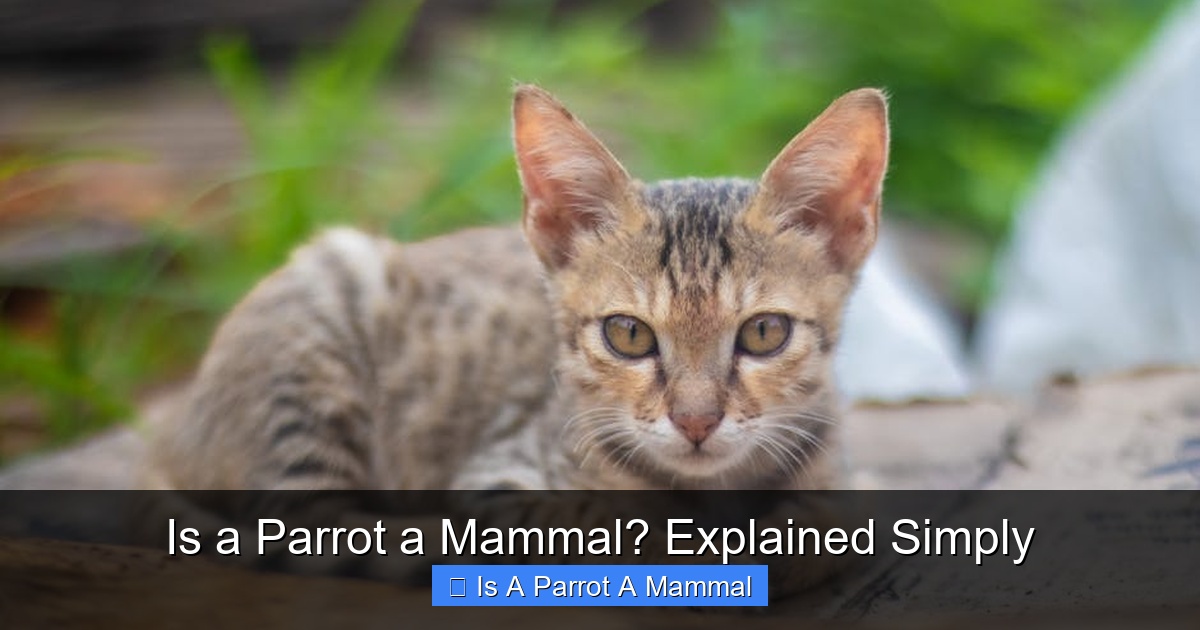 Featured image for Is a Parrot a Mammal? Explained Simply