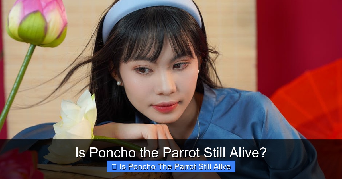 Is Poncho the Parrot Still Alive?