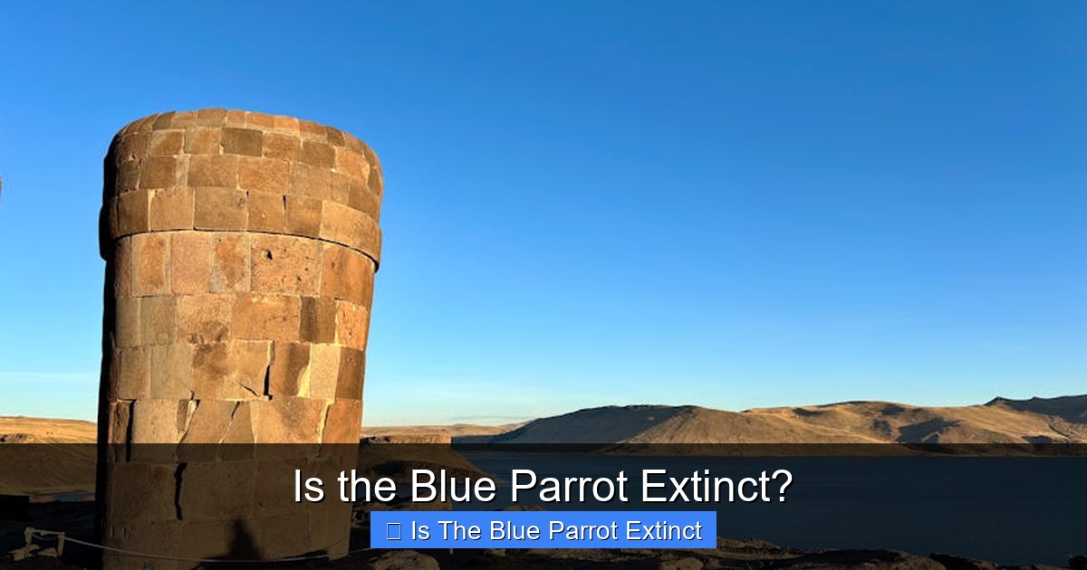 Is the Blue Parrot Extinct?