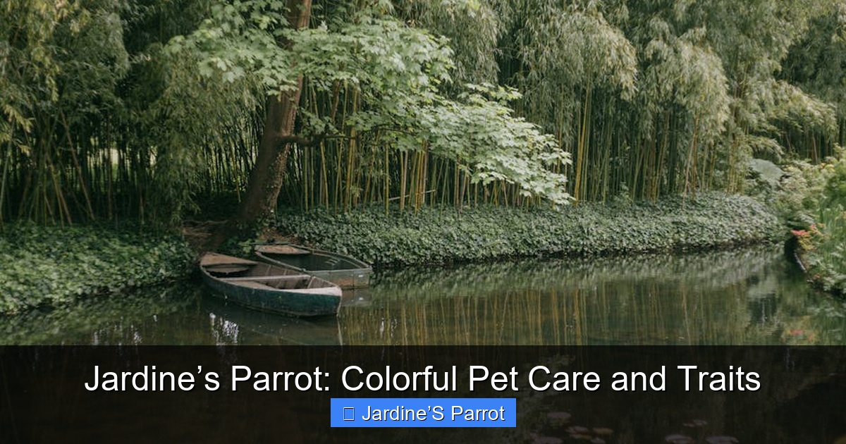 Featured image for Jardine’s Parrot: Colorful Pet Care and Traits