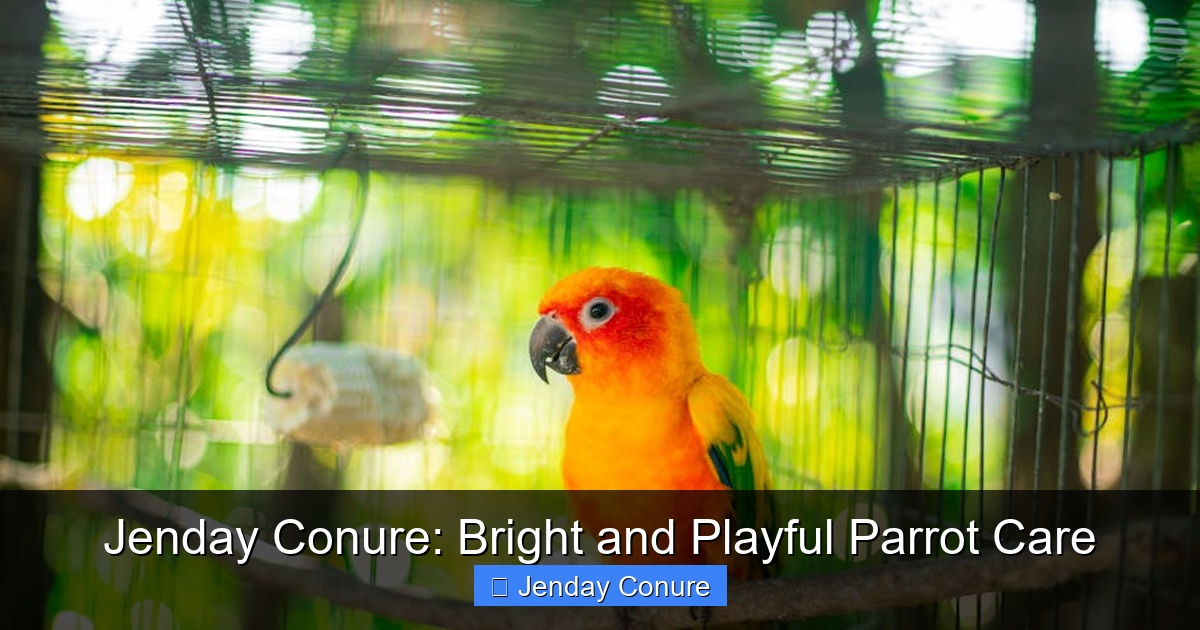 Featured image for Jenday Conure: Bright and Playful Parrot Care
