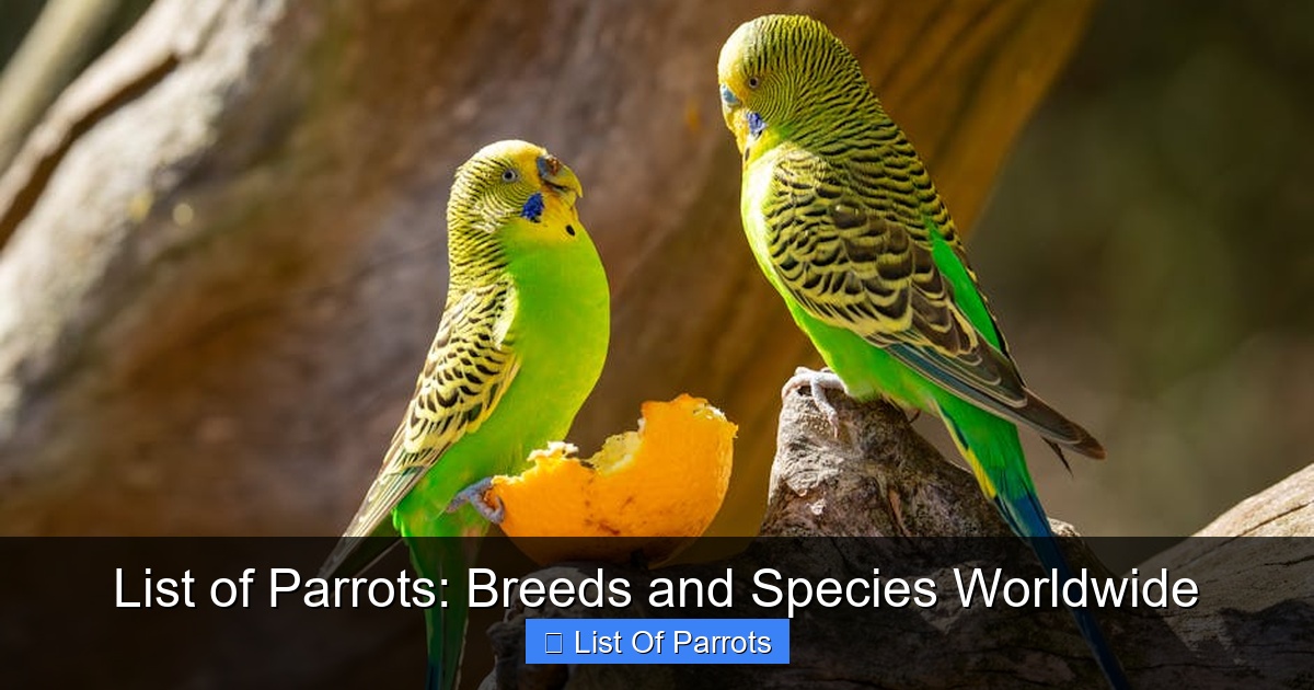 Featured image for List of Parrots: Breeds and Species Worldwide