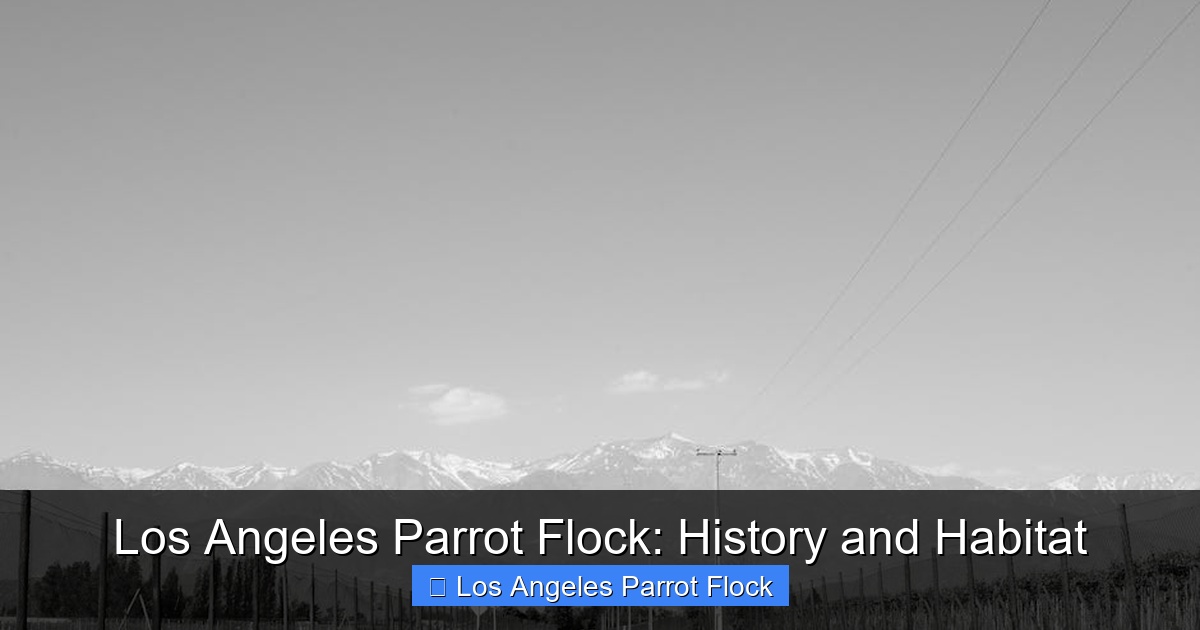 Featured image for Los Angeles Parrot Flock: History and Habitat