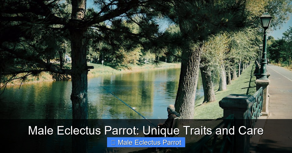 Featured image for Male Eclectus Parrot: Unique Traits and Care