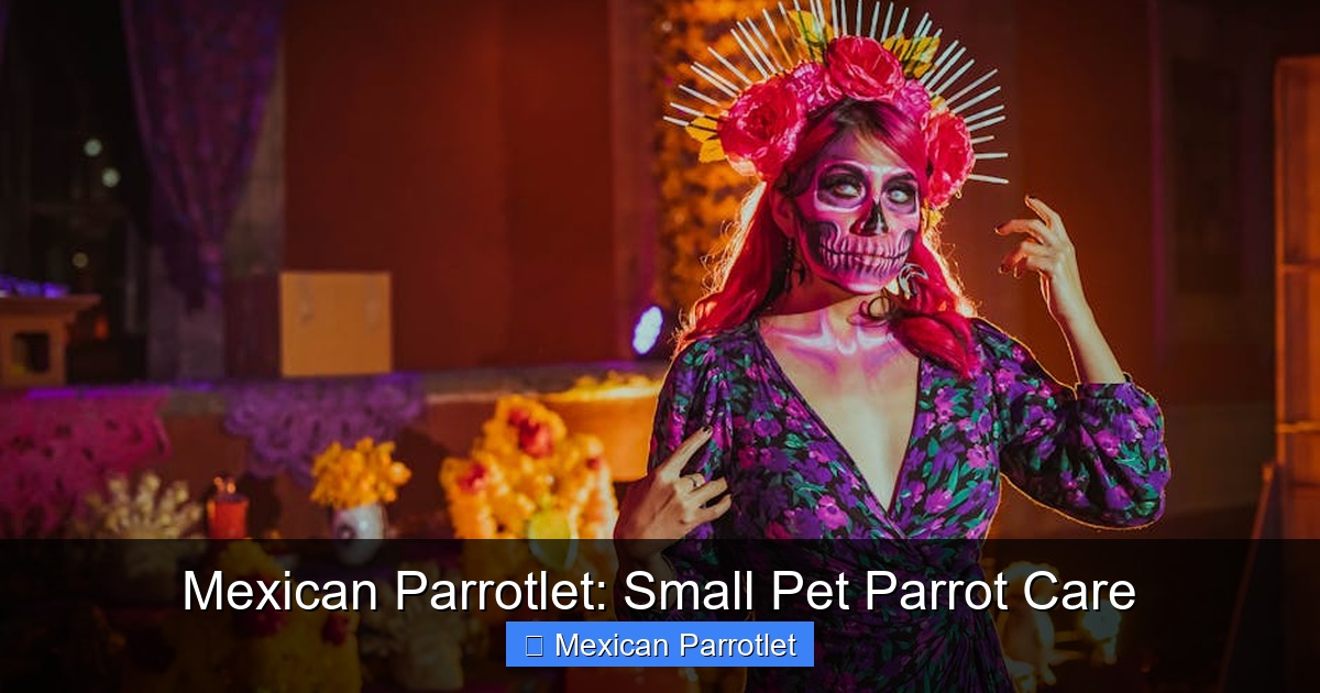 Featured image for Mexican Parrotlet: Small Pet Parrot Care