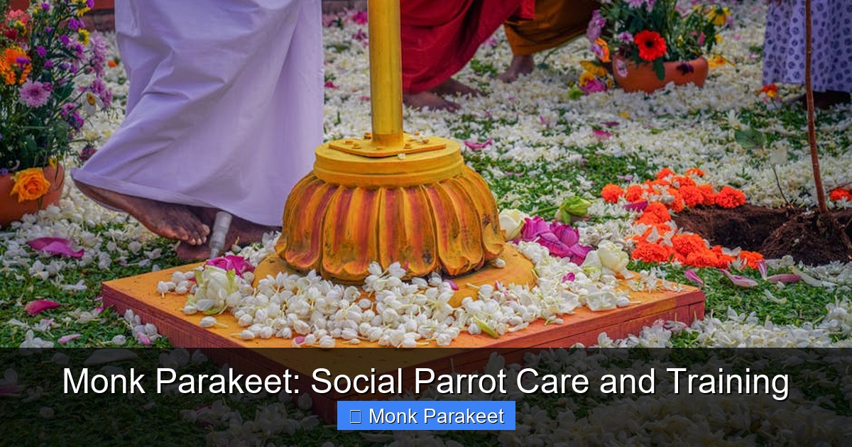 Featured image for Monk Parakeet: Social Parrot Care and Training