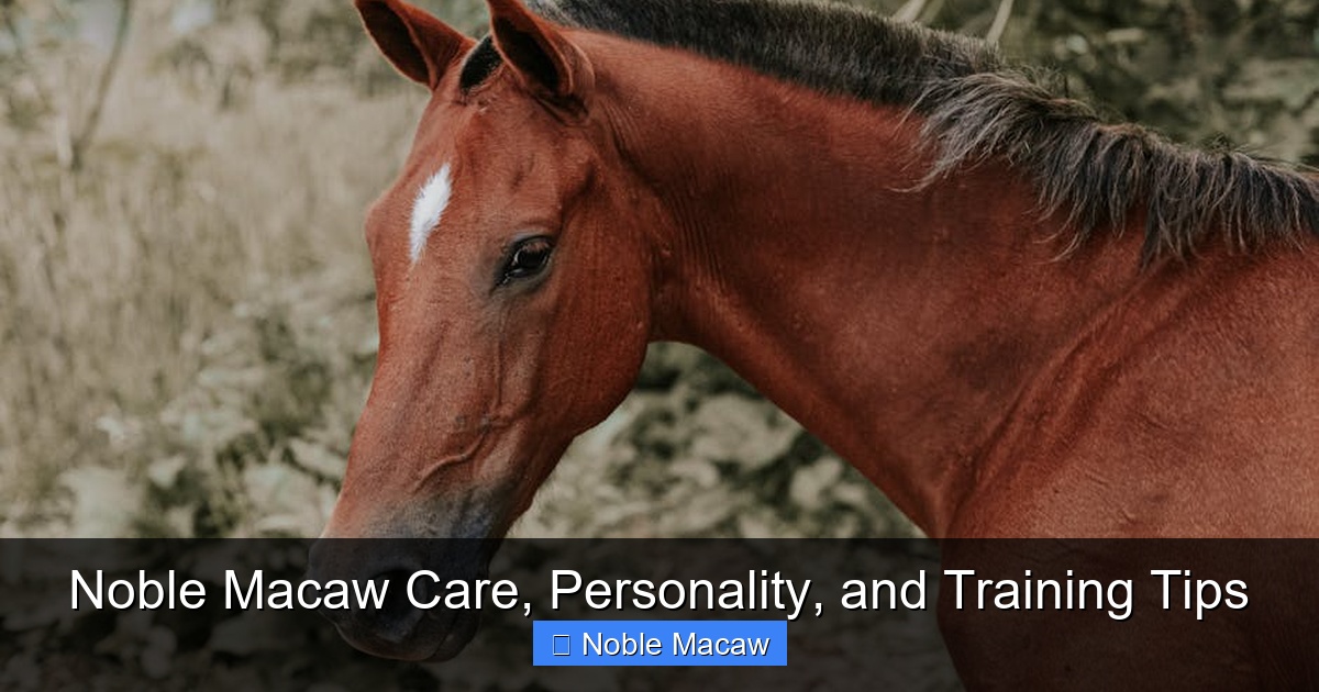 Featured image for Noble Macaw Care, Personality, and Training Tips