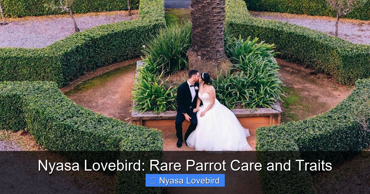 Featured image for Nyasa Lovebird: Rare Parrot Care and Traits