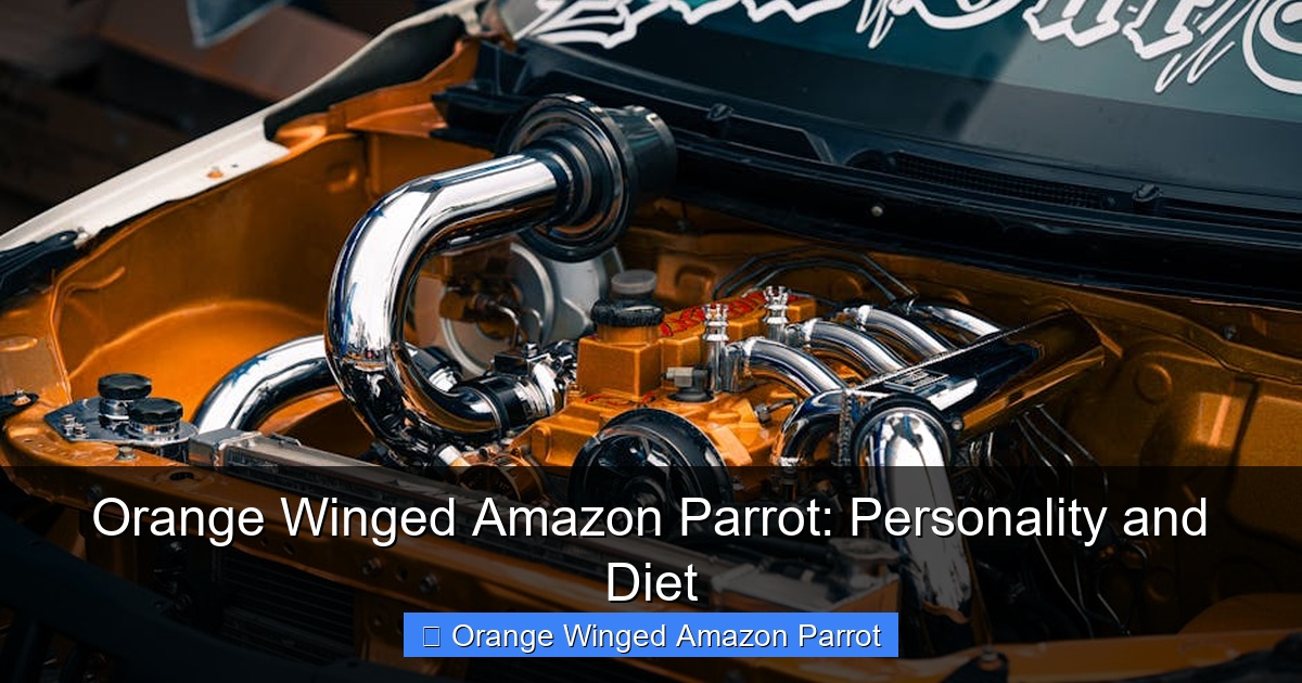 Featured image for Orange Winged Amazon Parrot: Personality and Diet
