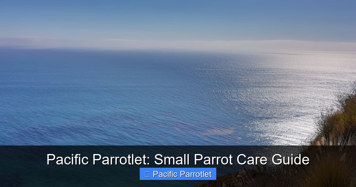 Featured image for Pacific Parrotlet: Small Parrot Care Guide