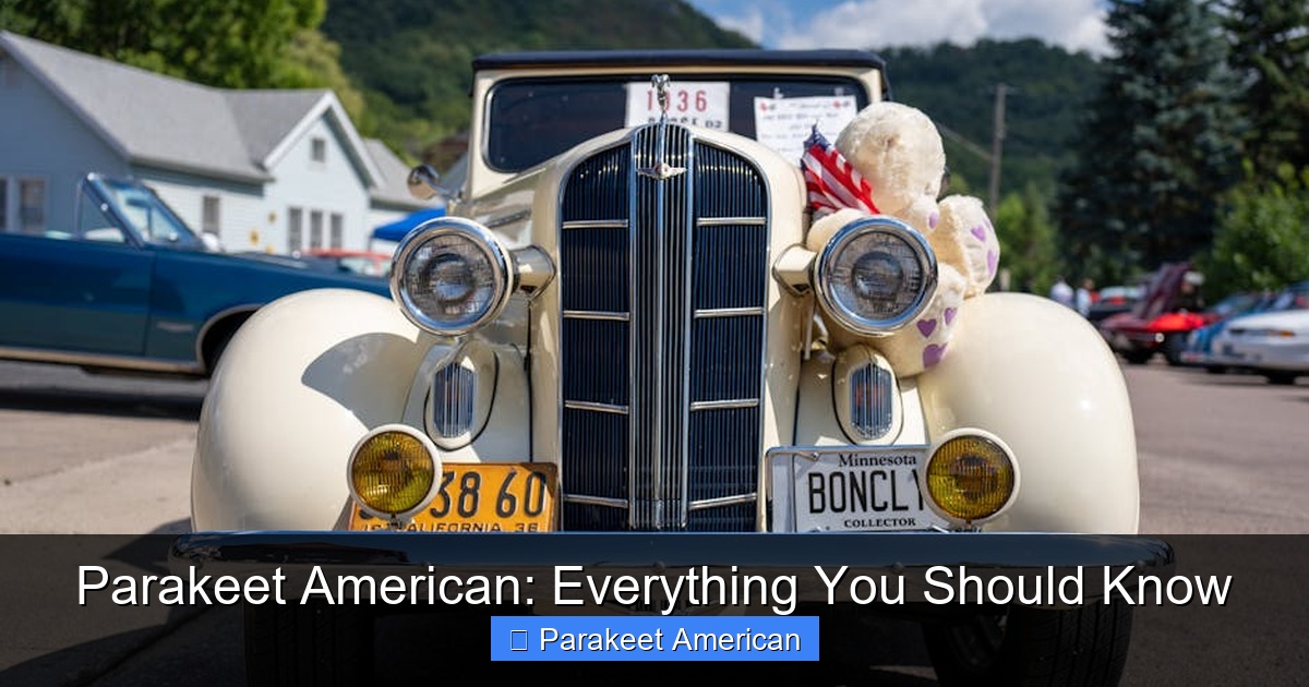 Featured image for Parakeet American: Everything You Should Know