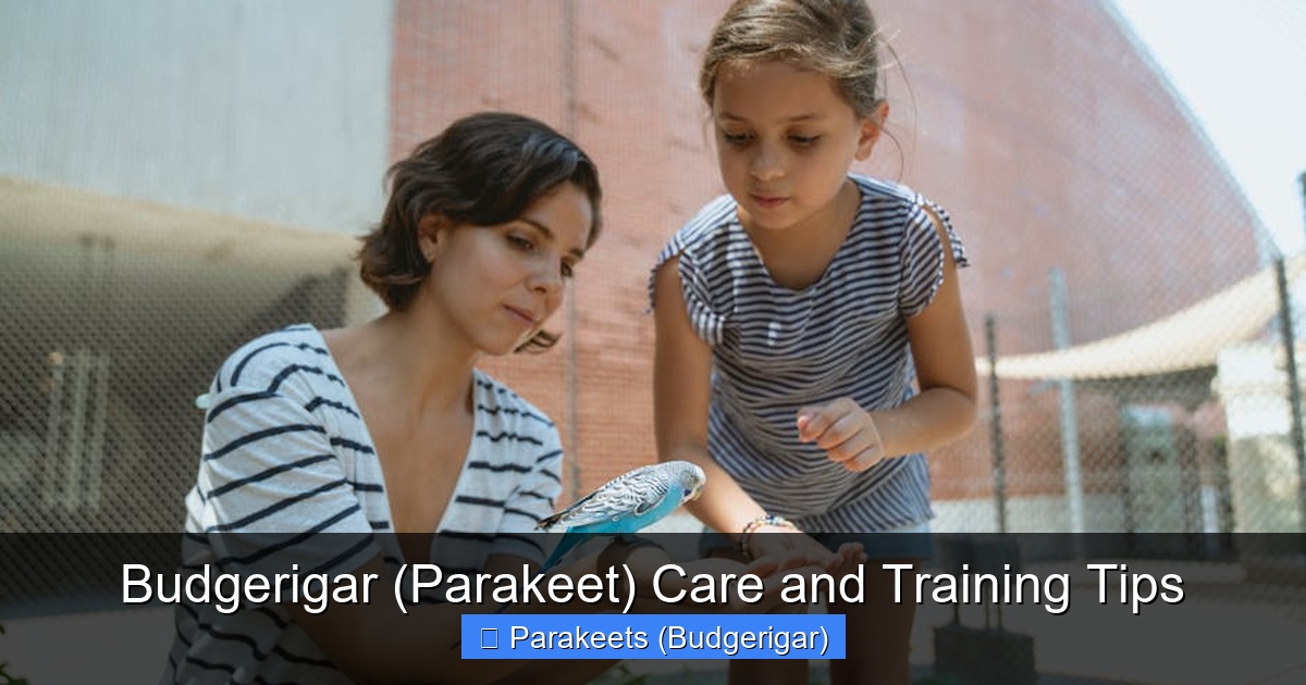 Featured image for Budgerigar (Parakeet) Care and Training Tips