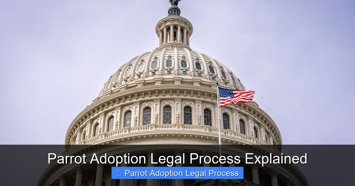 Featured image for Parrot Adoption Legal Process Explained