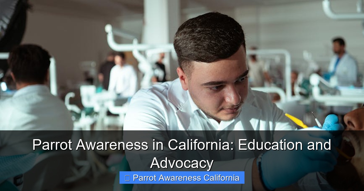 Parrot Awareness in California: Education and Advocacy
