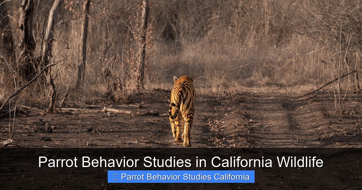 Featured image for Parrot Behavior Studies in California Wildlife