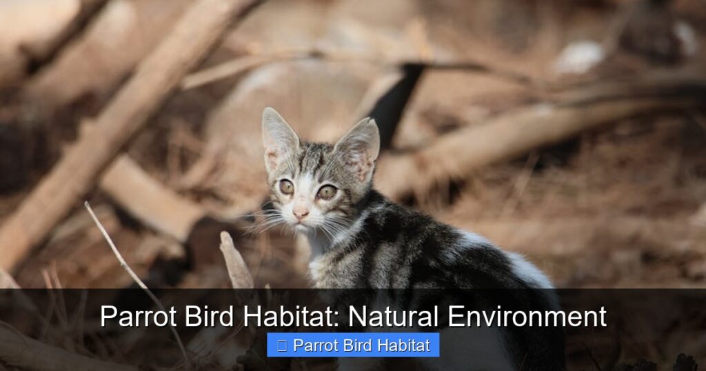 Image showcasing Parrot Bird Habitat: Natural Environment - californiaflocks.org