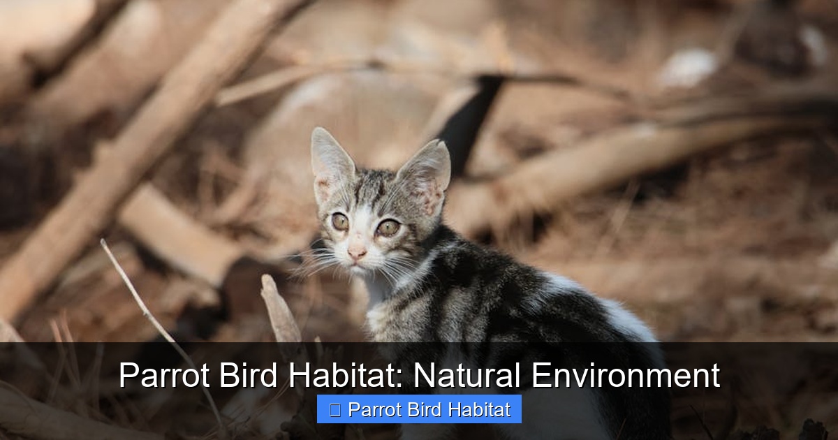 Featured image for Parrot Bird Habitat: Natural Environment
