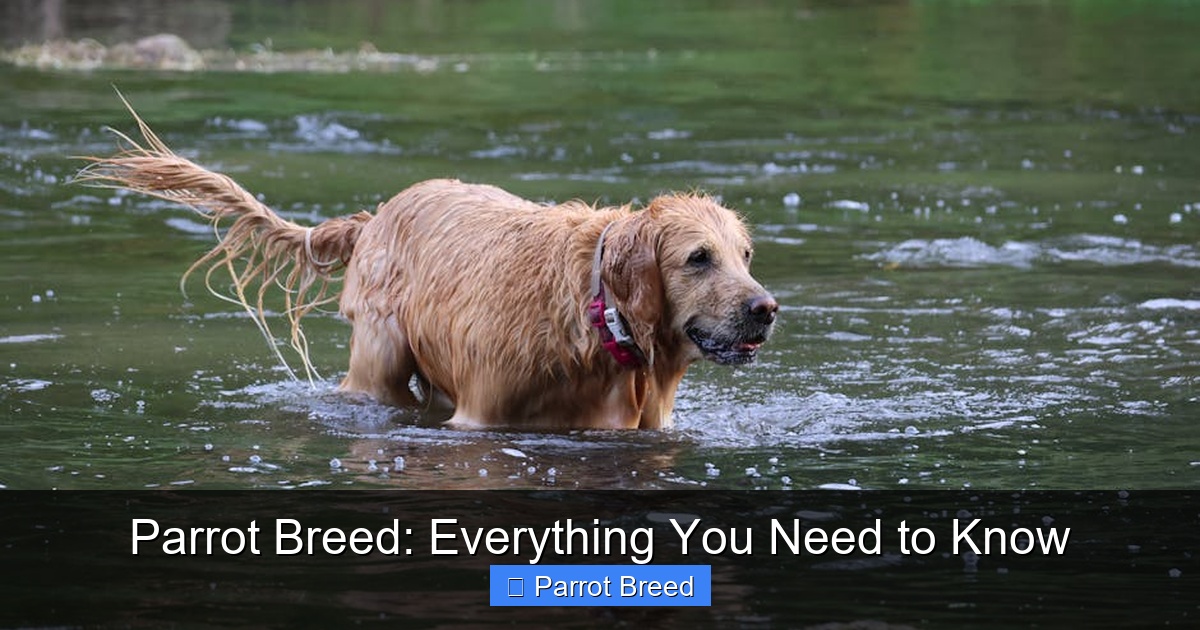 Featured image for Parrot Breed: Everything You Need to Know