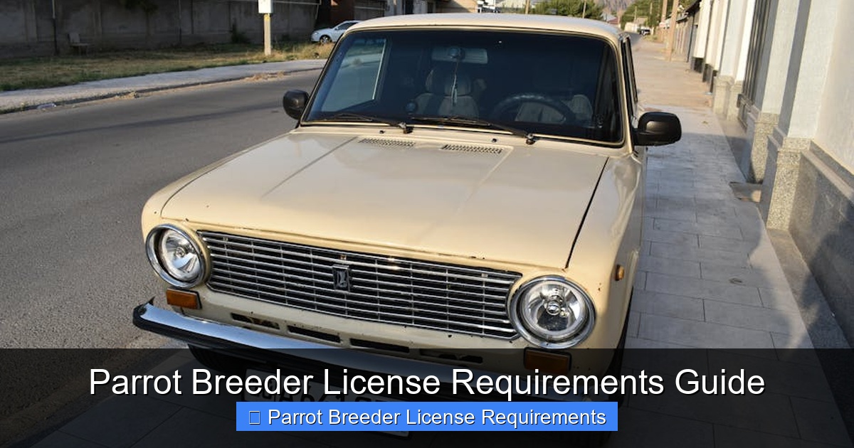 Featured image for Parrot Breeder License Requirements Guide